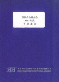顶新公益基金会2012年审计报告