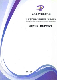 顶新公益基金会2013年审计报告