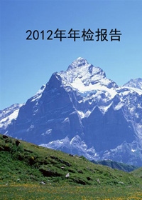 2012年年检报告