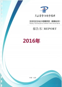 顶新公益基金会2016年审计报告