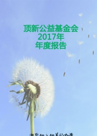 2017年年度报告