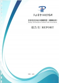 顶新公益基金会2019年审计报告